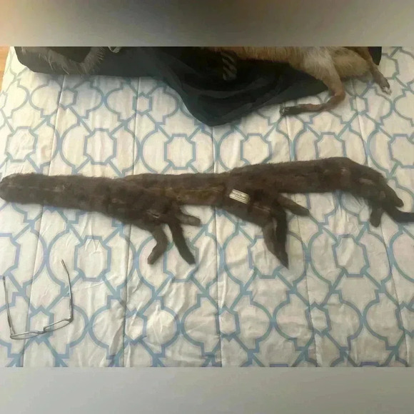 VINTAGE JOSEPH HORNE ACTUAL BODY 3 MINK STOLE - Picture 8 of 9